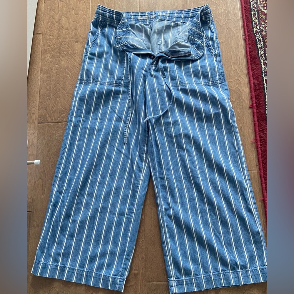 American Eagle Outfitters Denim Striped Pants wide leg